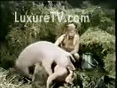Poor amateur wench pinned down and screwed by a hog in this classic beastiality video 